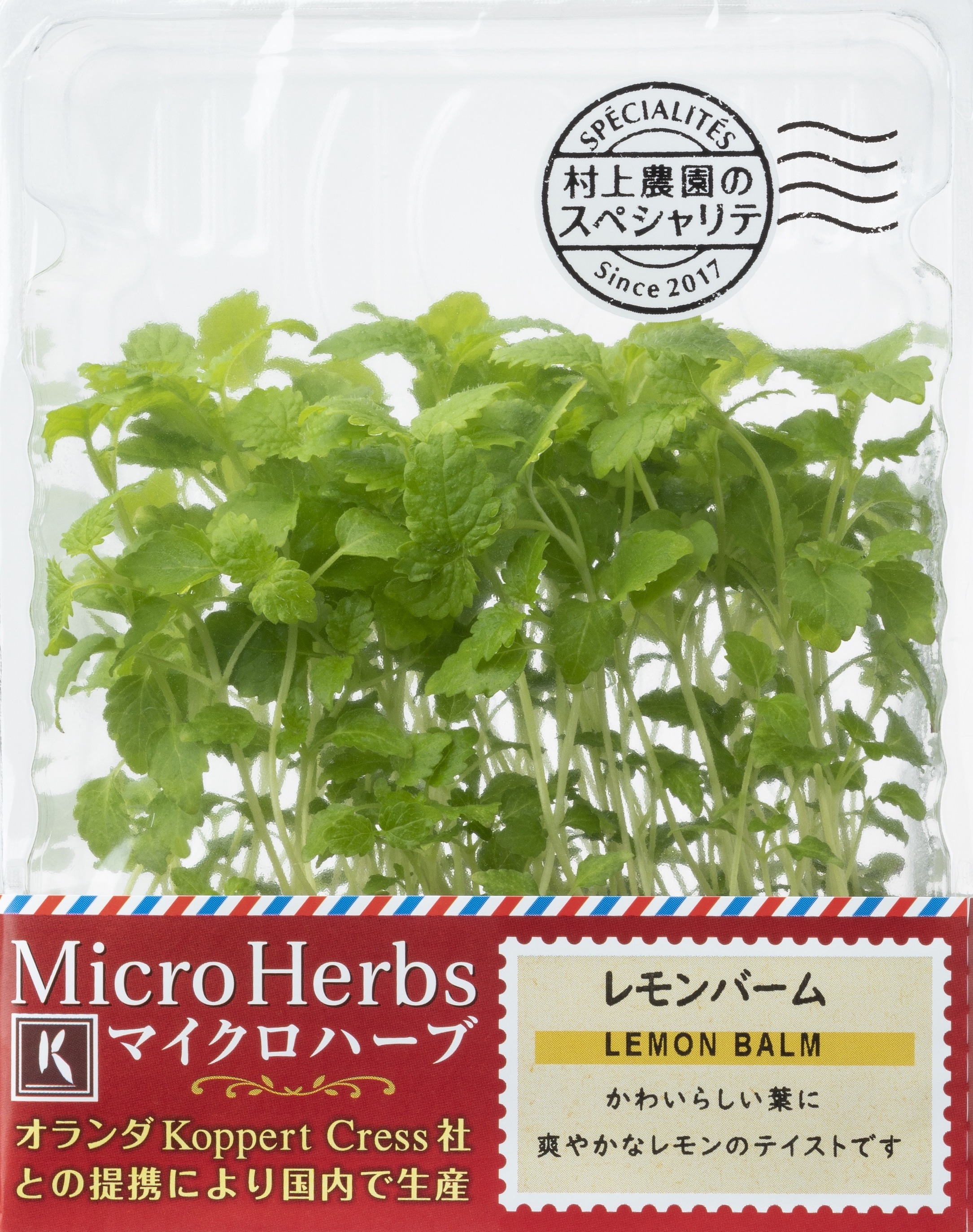 レモンバーム｜村上農園オンラインショップ